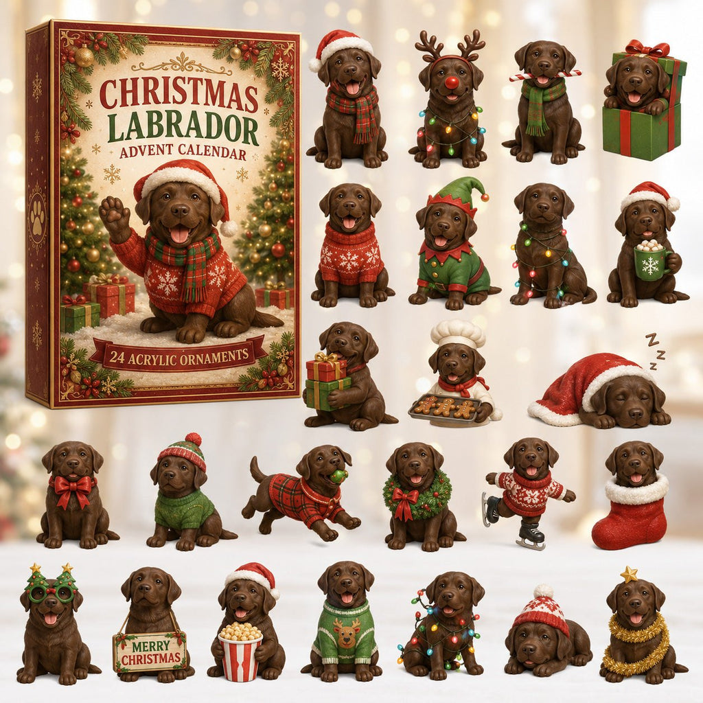 Christmas Chocolate Labrador advent calendar