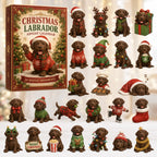 Christmas Chocolate Labrador advent calendar