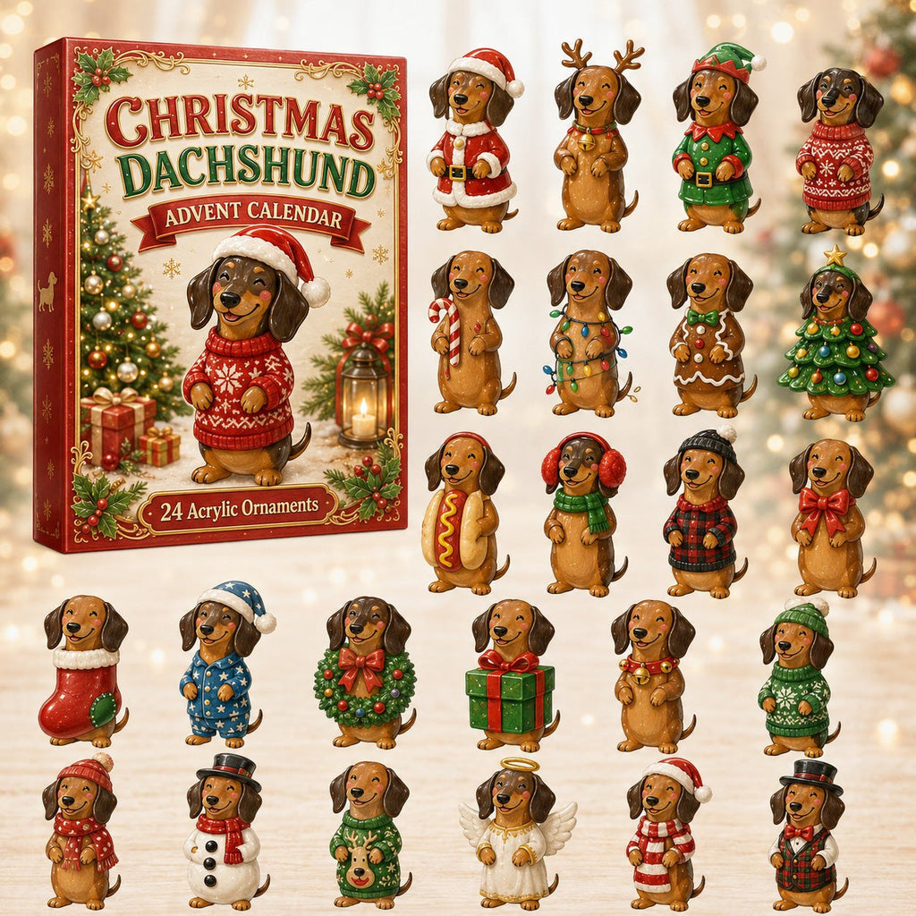 Christmas Dachshund advent calendar