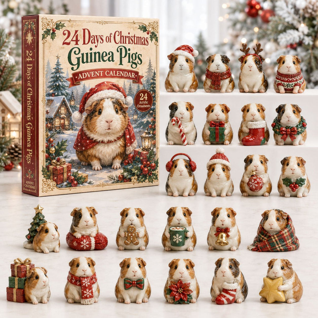 Christmas Guinea Pig advent calendar