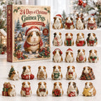 Christmas Guinea Pig advent calendar