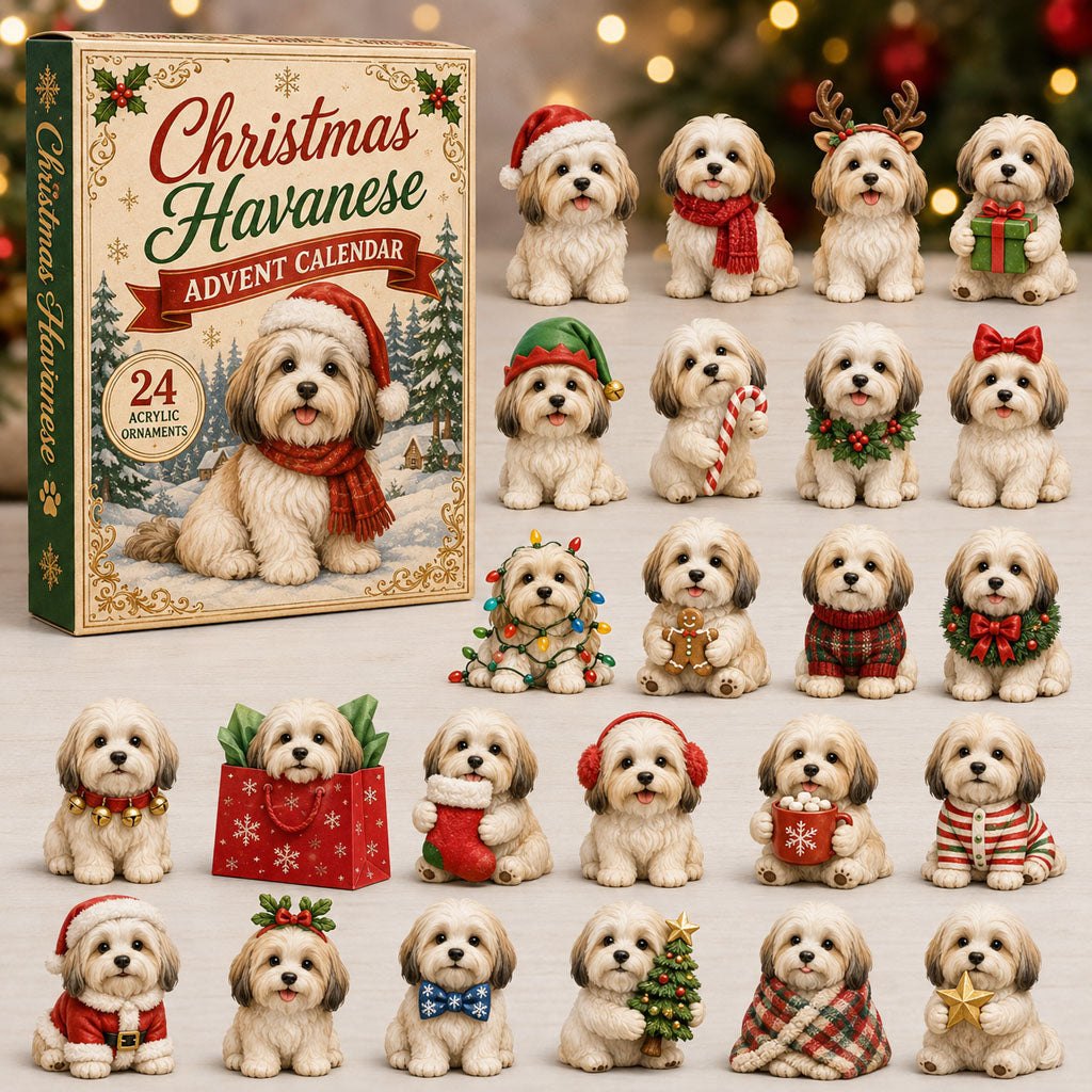 Christmas Havanese advent calendar