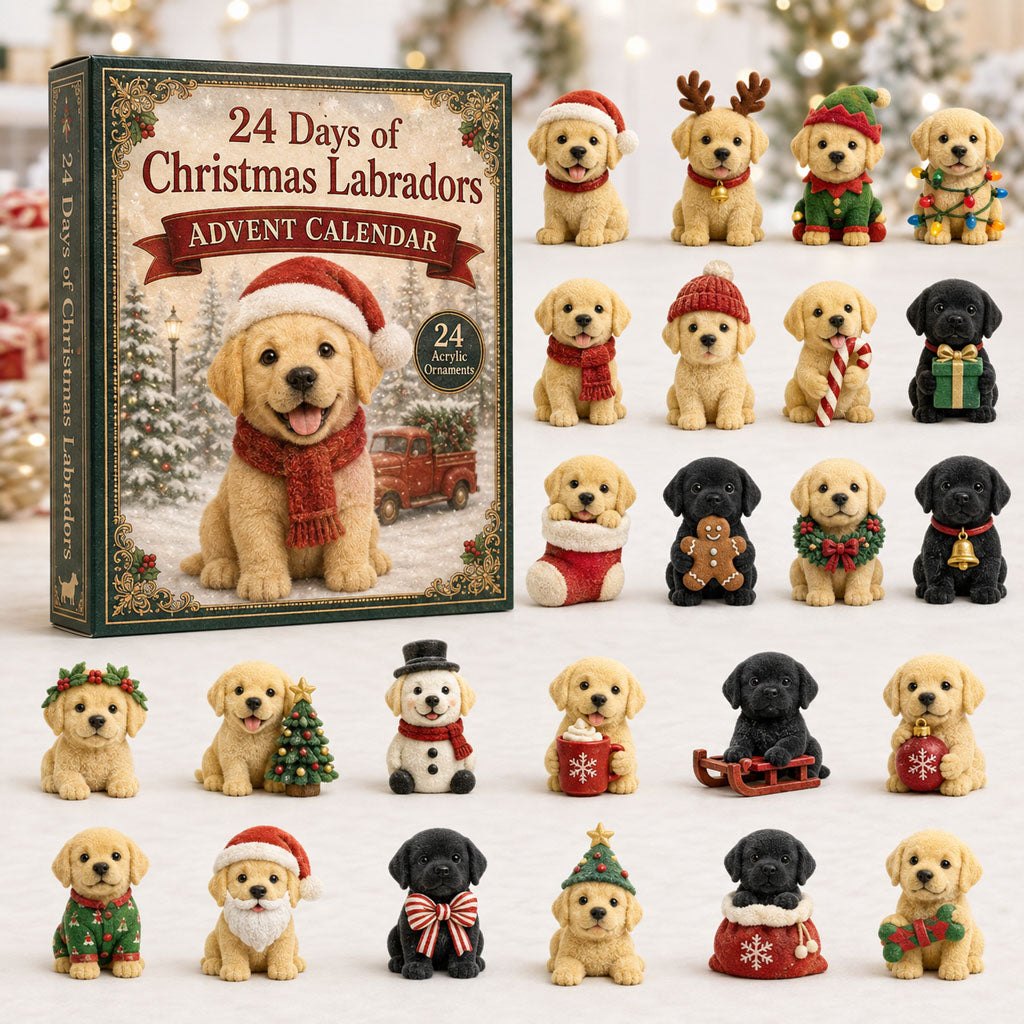 Christmas Labrador advent calendar