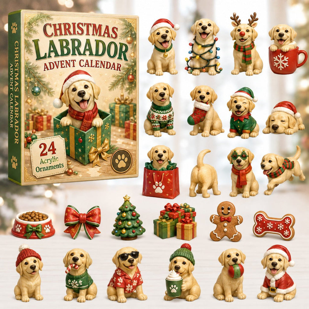 Christmas Labrador advent calendar
