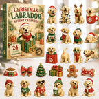 Christmas Labrador advent calendar