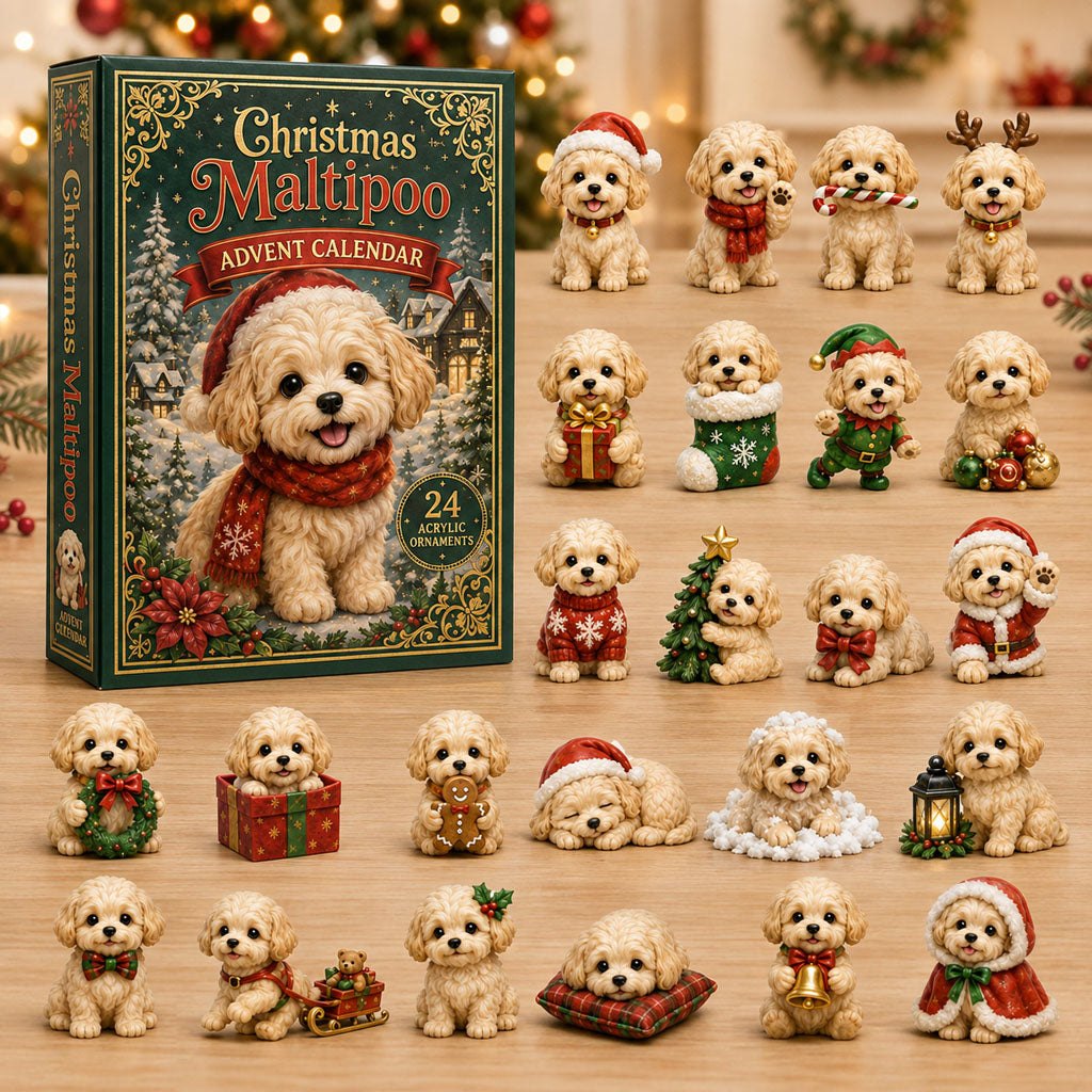 Christmas Maltipoo advent calendar