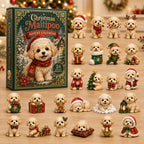 Christmas Maltipoo advent calendar