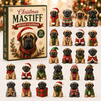 Christmas Mastiff advent calendar