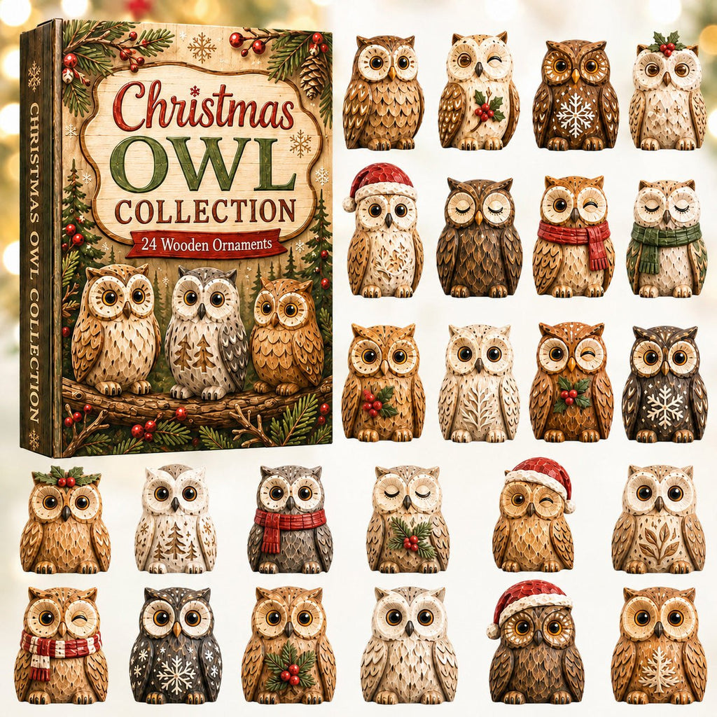 Christmas Owl advent calendar