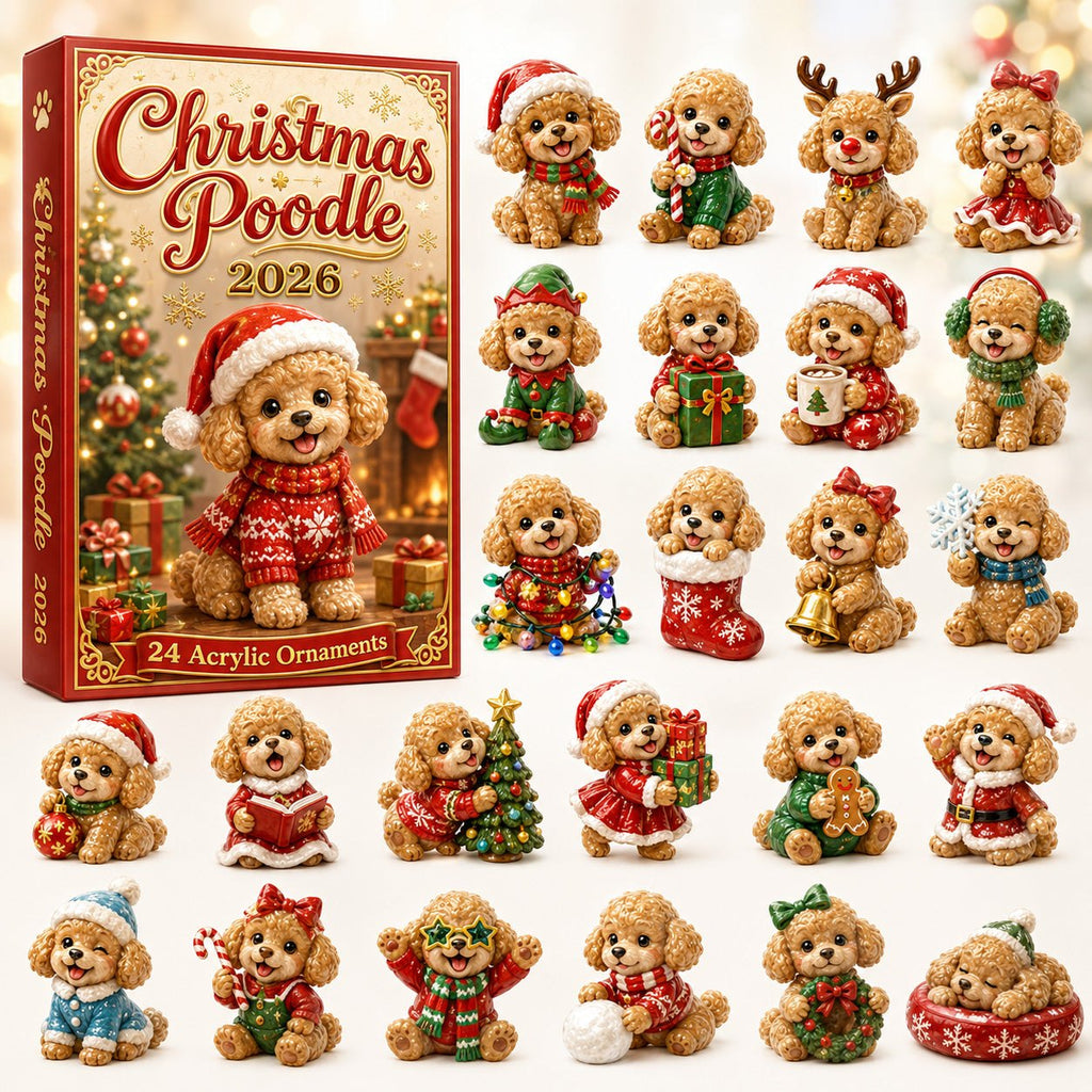 Christmas Poodle advent calendar