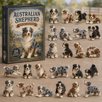 Classic Australian Shepherd advent calendar