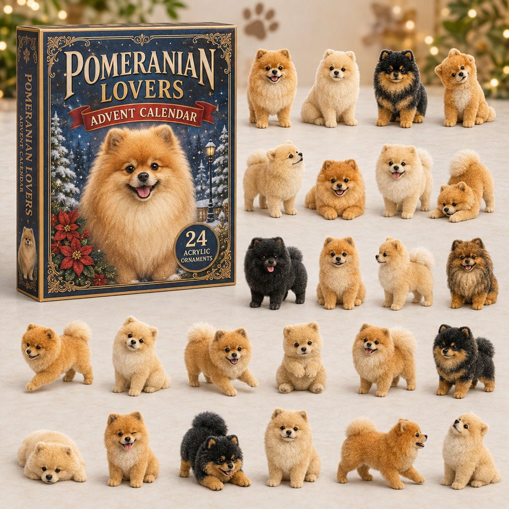 Classic Pomeranian advent calendar