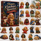 Cocker Spaniel Pajama advent calendar