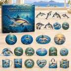 Common Dolphin advent calendar box and24 themed flat printed acrylic charms with layered ocean artwork