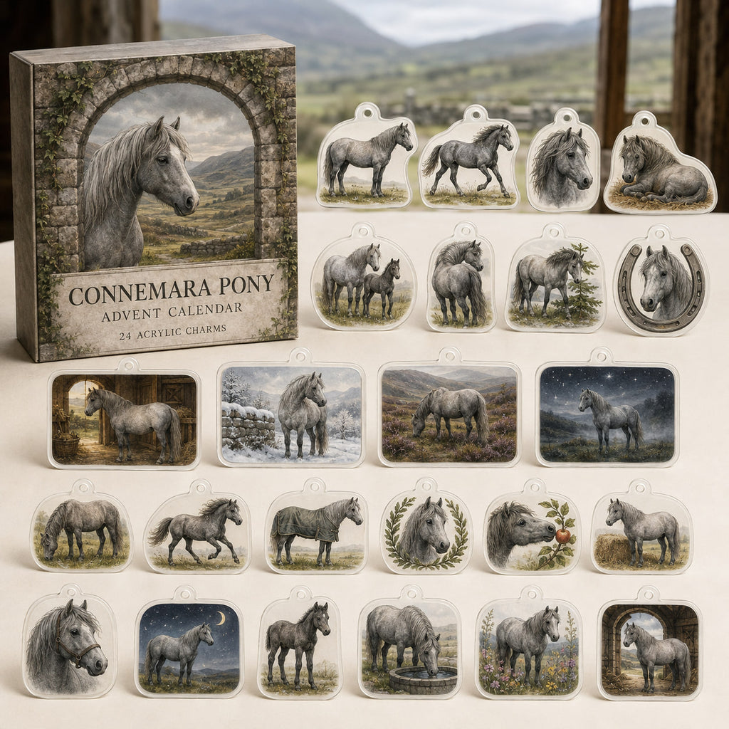 Connemara Pony calendar box and24 printed acrylic equestrian charms