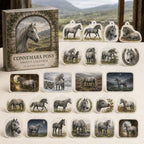 Connemara Pony calendar box and24 printed acrylic equestrian charms