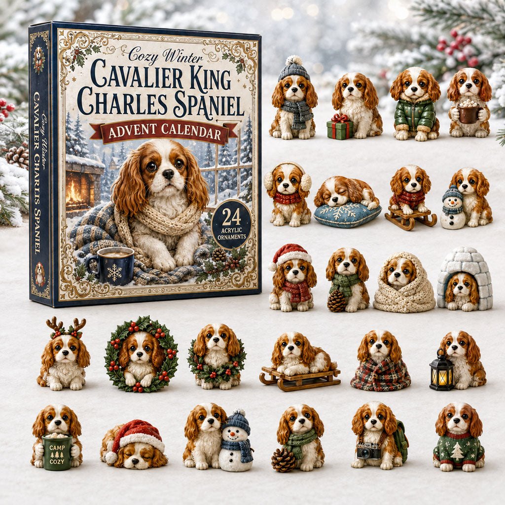 Cozy Winter Cavalier advent calendar