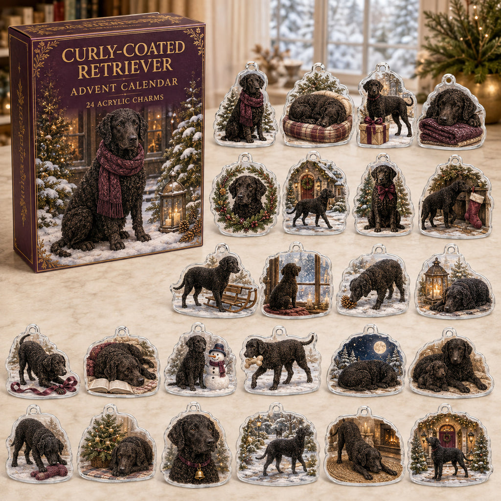 Curly-Coated Retriever advent calendar box and 24 illustrated acrylic charms displayed on an ivory tabletop in a winter setting