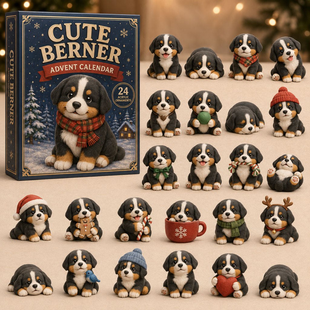 Cute Berner Winter advent calendar