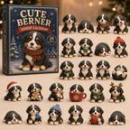 Cute Berner Winter advent calendar