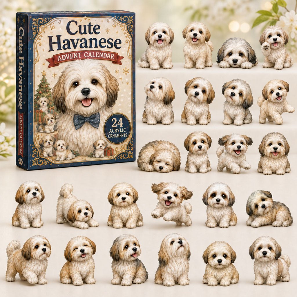 Cute Havanese advent calendar