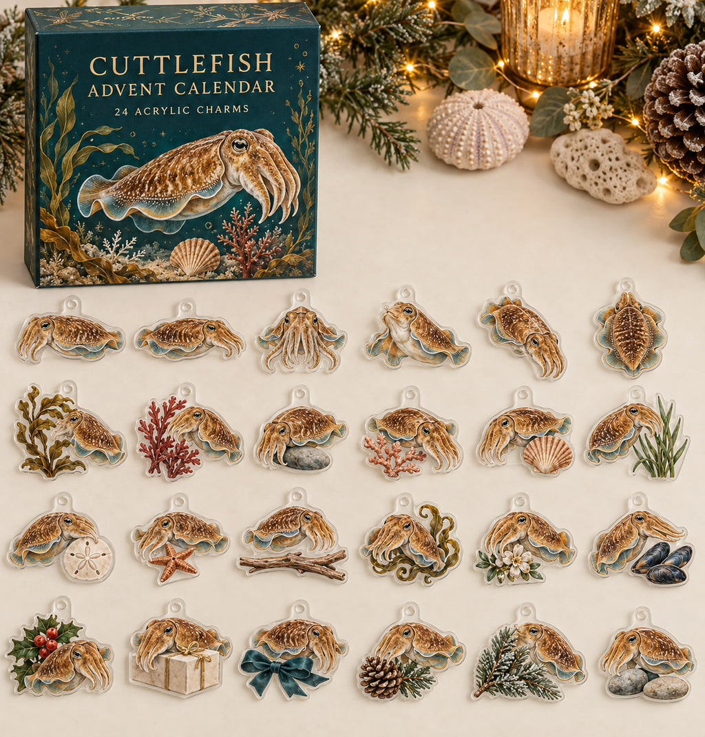 Cuttlefish advent calendar with 24 custom-shaped flat acrylic charms and printed dimensional artwork