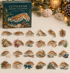 Cuttlefish advent calendar with 24 custom-shaped flat acrylic charms and printed dimensional artwork