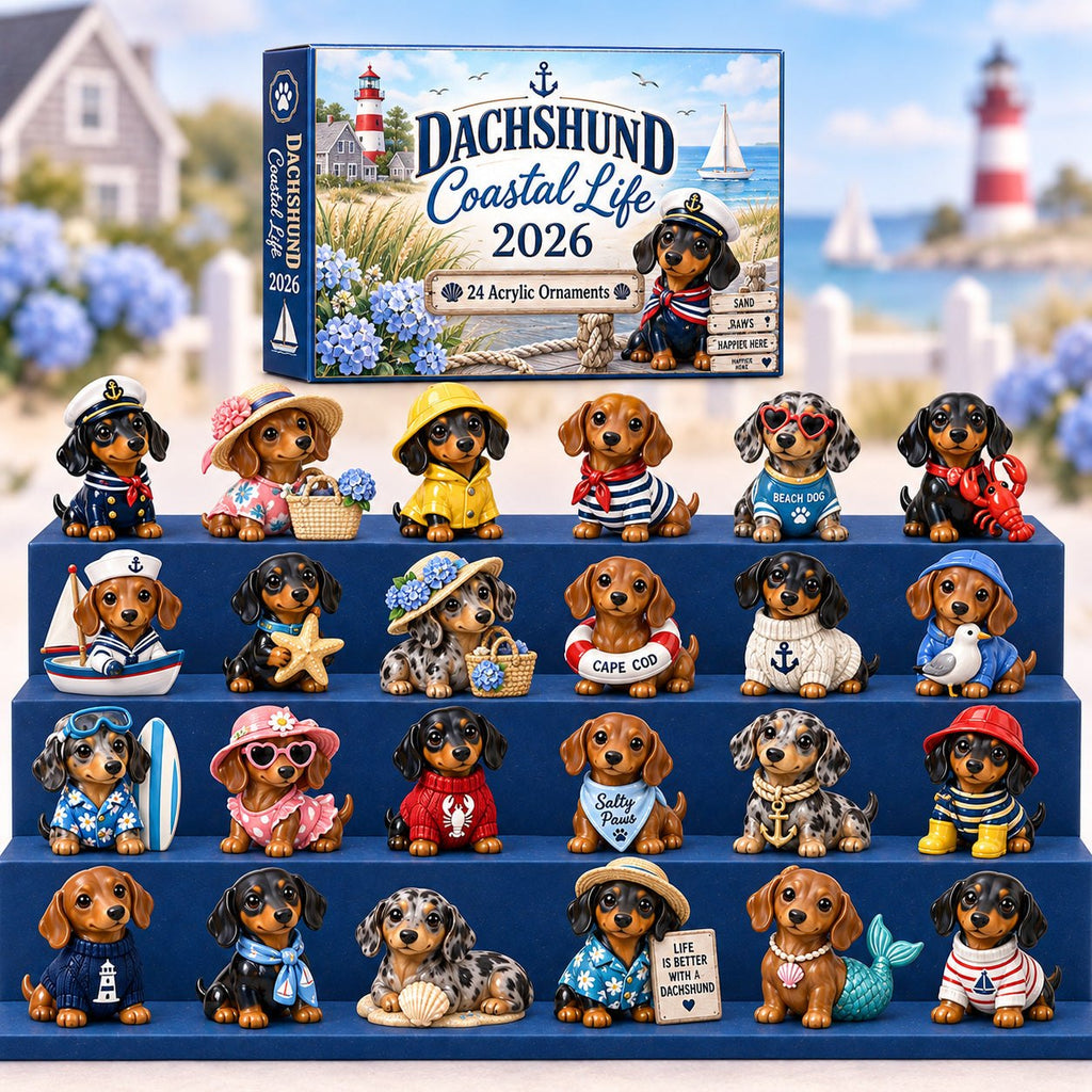 Dachshund Coastal Life advent calendar