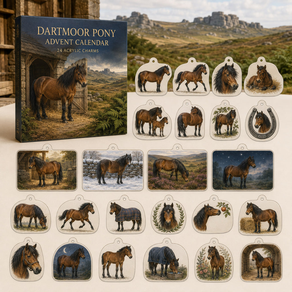 Dartmoor Pony calendar box and 24 printed acrylic equestrian charms