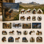 Dartmoor Pony calendar box and 24 printed acrylic equestrian charms