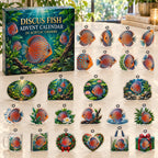 Discus Fish advent calendar box with 24 themed flat printed acrylic charms