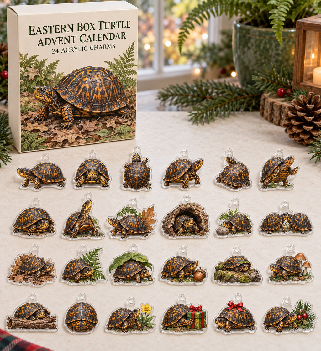 Eastern Box Turtle advent calendar with 24 custom-shaped flat acrylic charms and printed dimensional artwork
