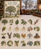 Elm Tree advent calendar with 24 custom-shaped flat acrylic charms and printed dimensional artwork