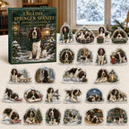 English Springer Spaniel advent calendar box and 24 illustrated acrylic charms displayed on an ivory tabletop in a winter setting