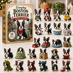 Everyday advent calendar