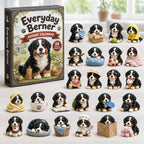 Everyday Berner advent calendar