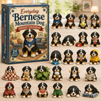 Everyday Bernese Mountain Dog advent calendar