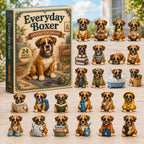 Everyday Boxer advent calendar