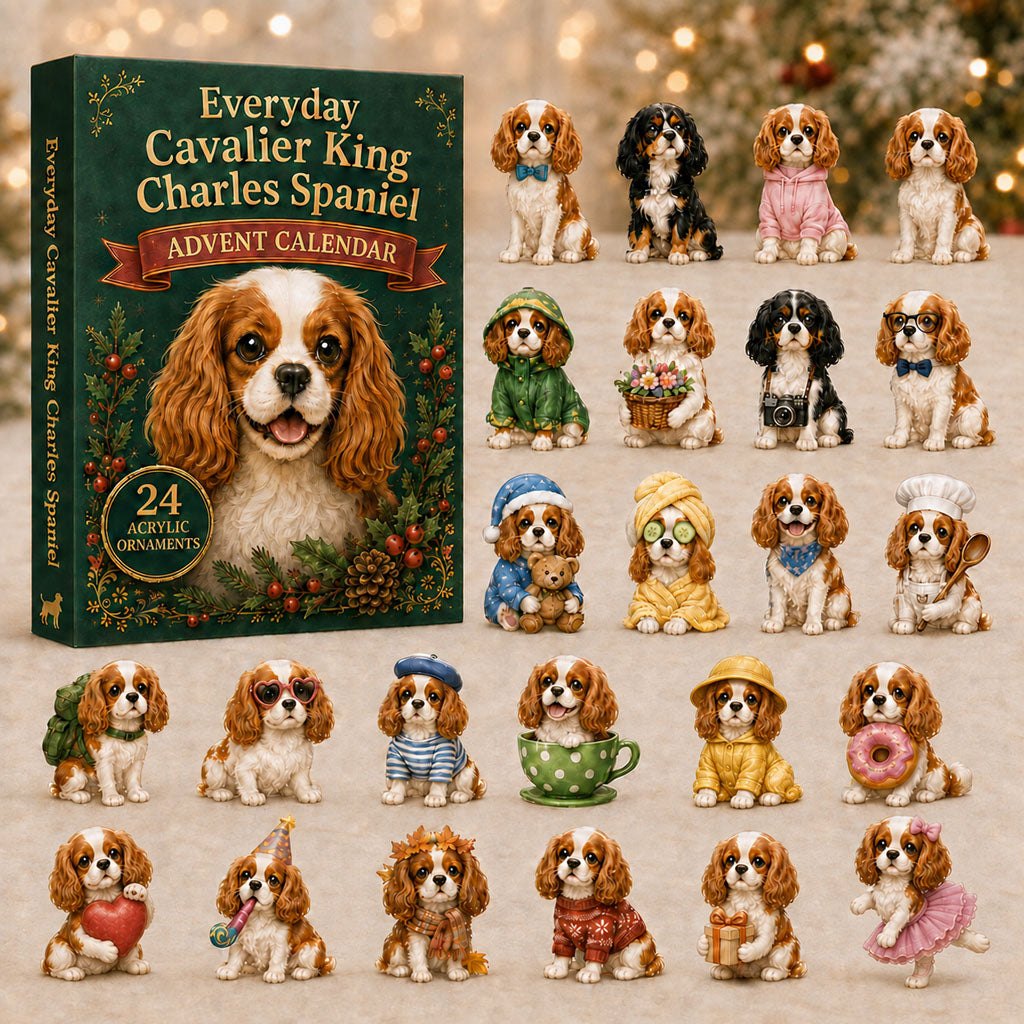 Everyday Cavalier King Charles Spaniel advent calendar