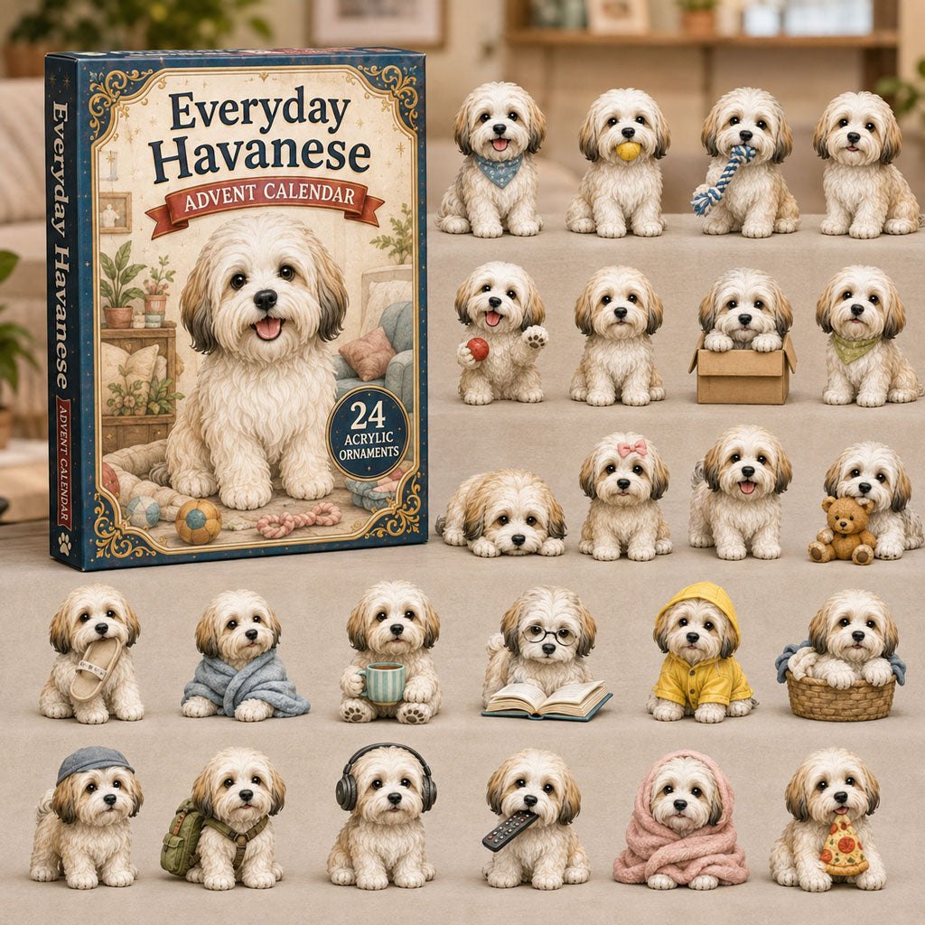 Everyday Havanese advent calendar
