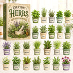 Everyday Herbs advent calendar