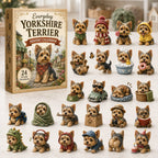 Everyday Yorkshire Terrier advent calendar