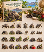 Galapagos Tortoise advent calendar with 24 custom-shaped flat acrylic charms and printed dimensional artwork