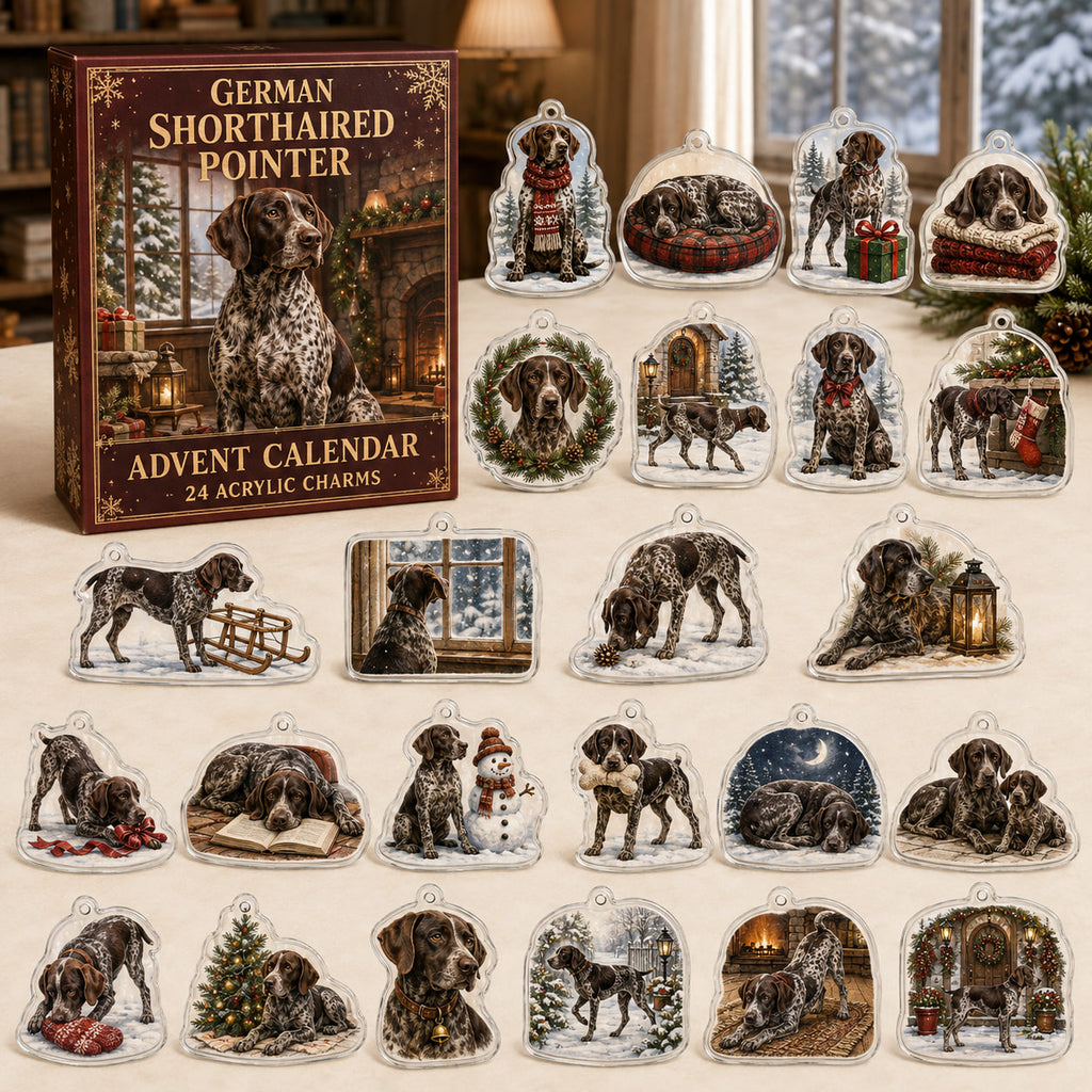 German Shorthaired Pointer advent calendar box and 24 illustrated acrylic charms displayed on an ivory tabletop in a winter setting