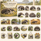 Giant Anteater advent calendar box with 24 themed flat printed acrylic charms
