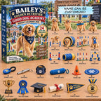 Golden Retriever Good Dog Academy advent calendar