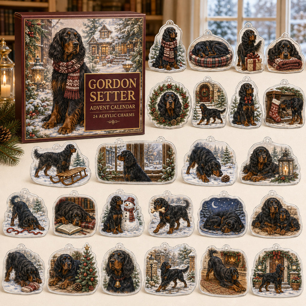 Gordon Setter advent calendar box and 24 illustrated acrylic charms displayed on an ivory tabletop in a winter setting