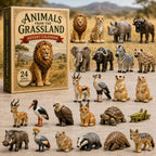 Grassland Animals World advent calendar