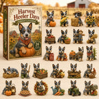 Harvest Heeler Days advent calendar