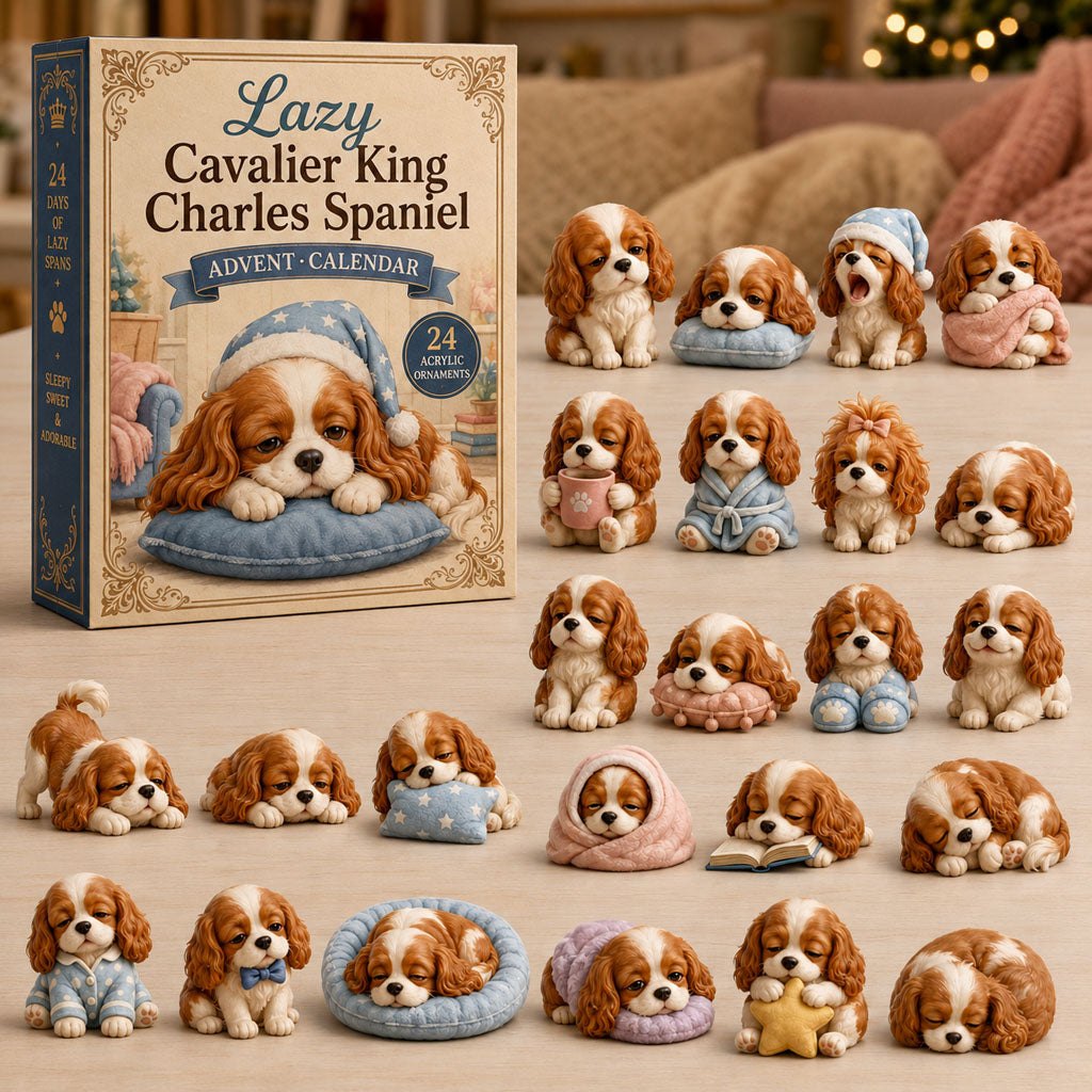 Lazy Cavalier Spaniel advent calendar